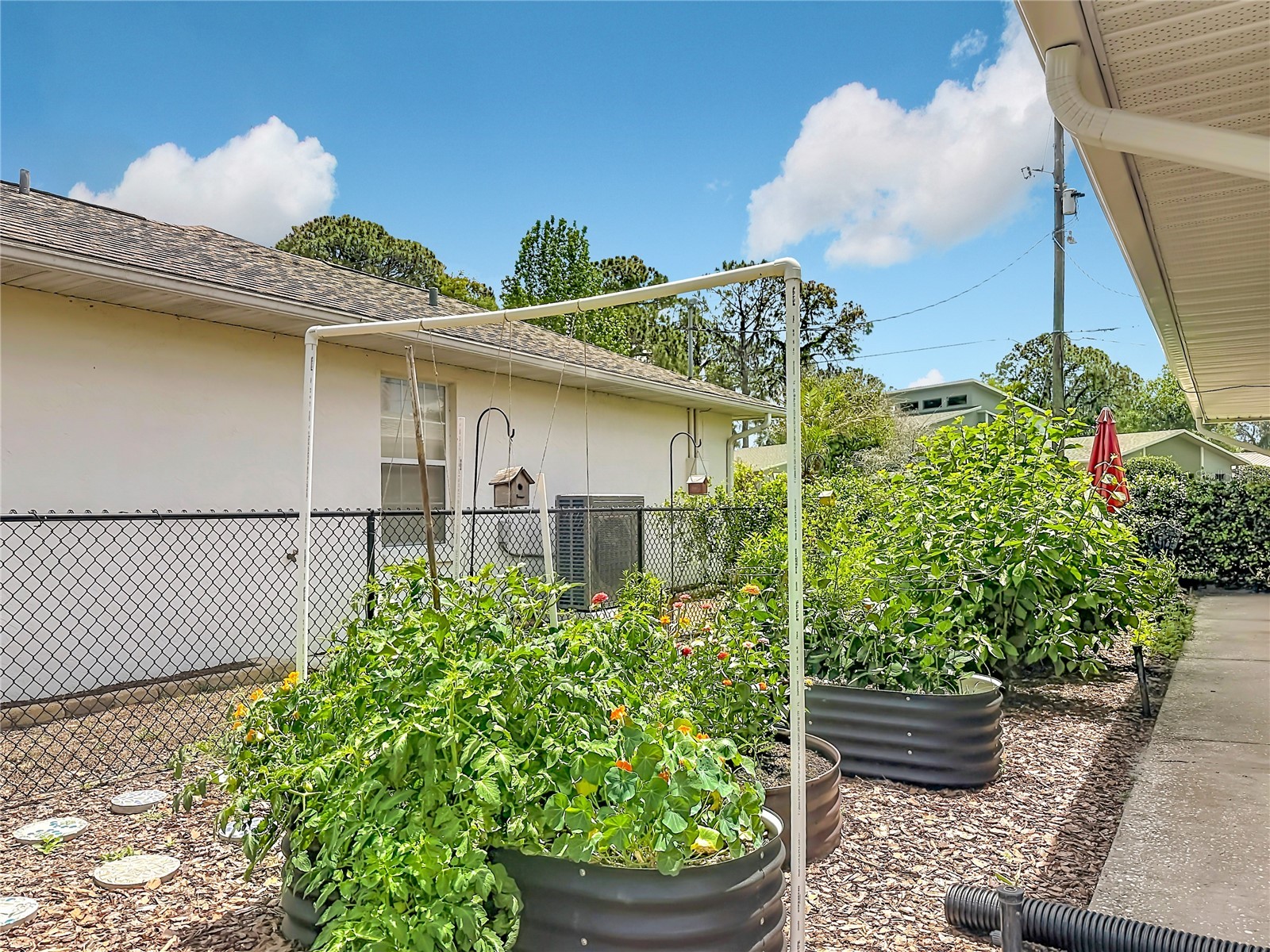 12547 Pine Island Drive Leesburg FL 34788 - LAKE EUSTIS OM723885 image50