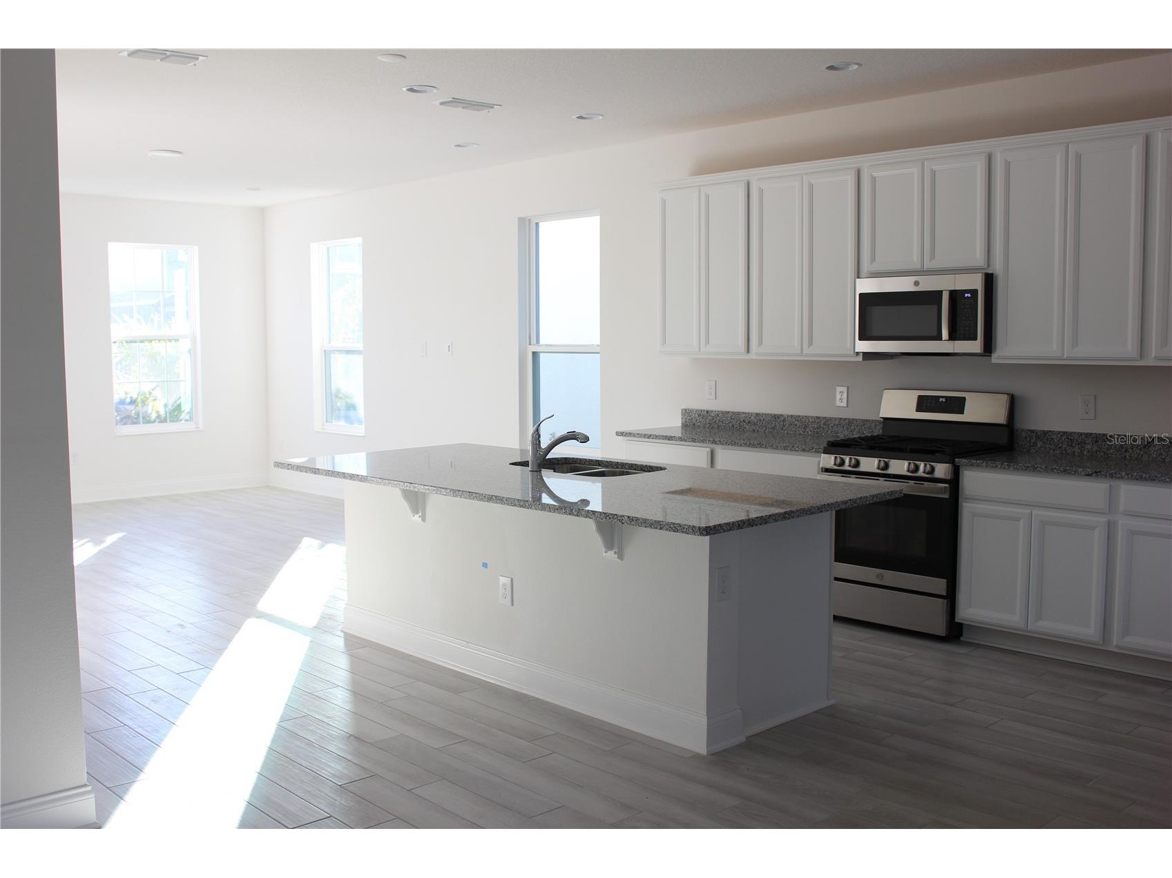 12548 Encore At Ovation Way Winter Garden FL 34787 S5147778 image3