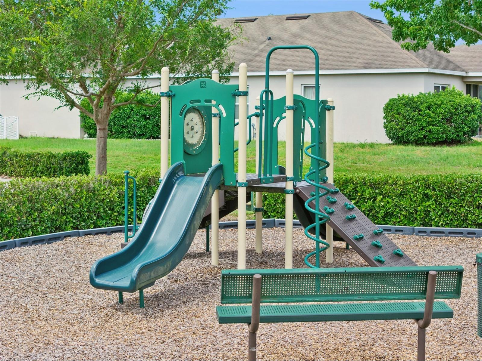 12549 Hammock Pointe Circle Clermont FL 34711 G5113586 image29