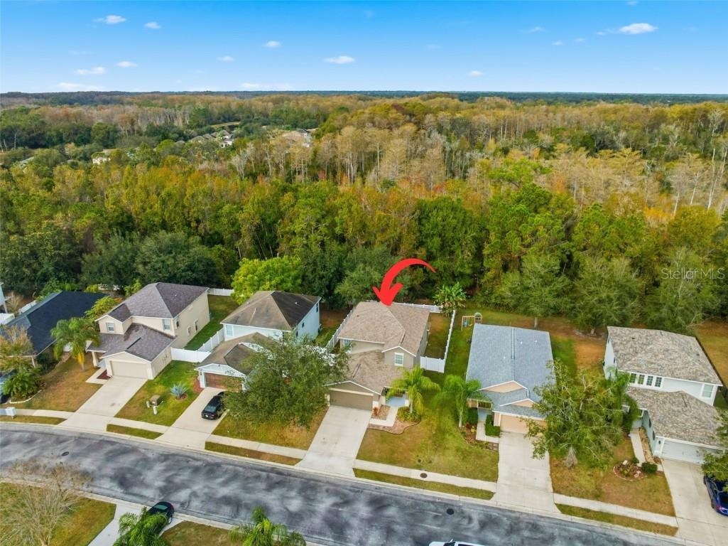 12549 Saulston Place Hudson FL 34669 W7881212 image24