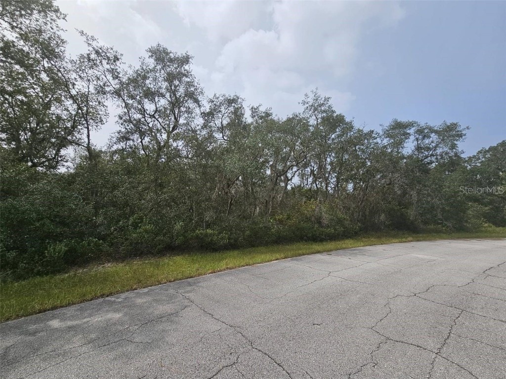 1255 Baltic Drive Kissimmee FL 34759 S5125184 image2