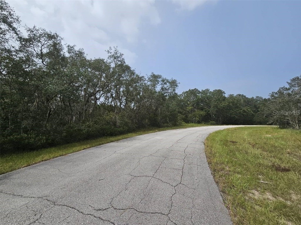 1255 Baltic Drive Kissimmee FL 34759 S5125184 image4