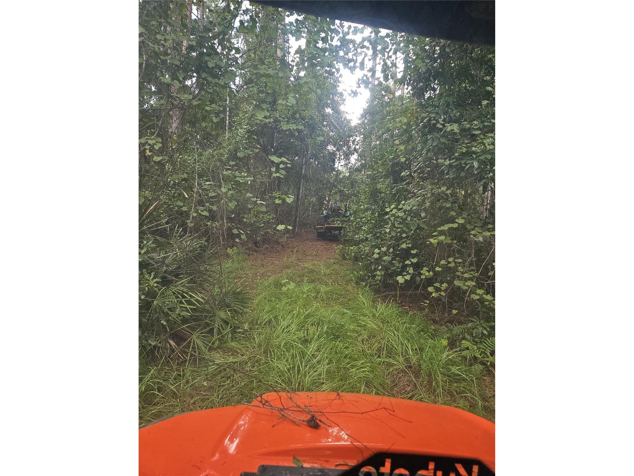1255 Black Bear Ranch Trail Pierson FL 32180 O6379911 image2