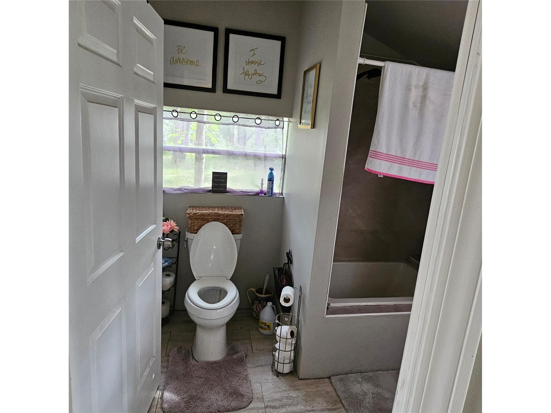 1255 Black Bear Ranch Trail Pierson FL 32180 O6379911 image3