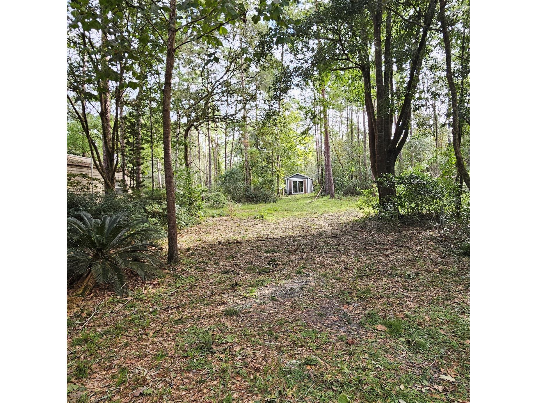 1255 Black Bear Ranch Trail Pierson FL 32180 O6379911 image6