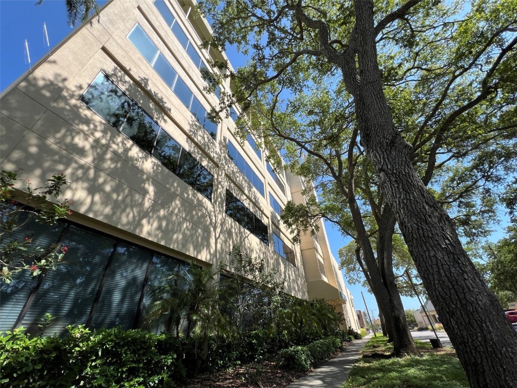 1255 Cleveland Street #400 Clearwater FL 33755 TB8448134 image1