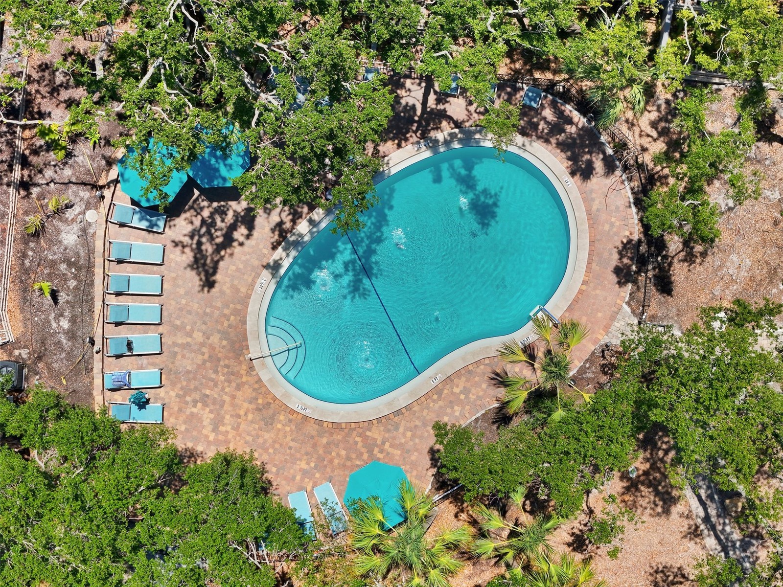 1255 E Peppertree Drive #201 Sarasota FL 34242 A4661191 image30