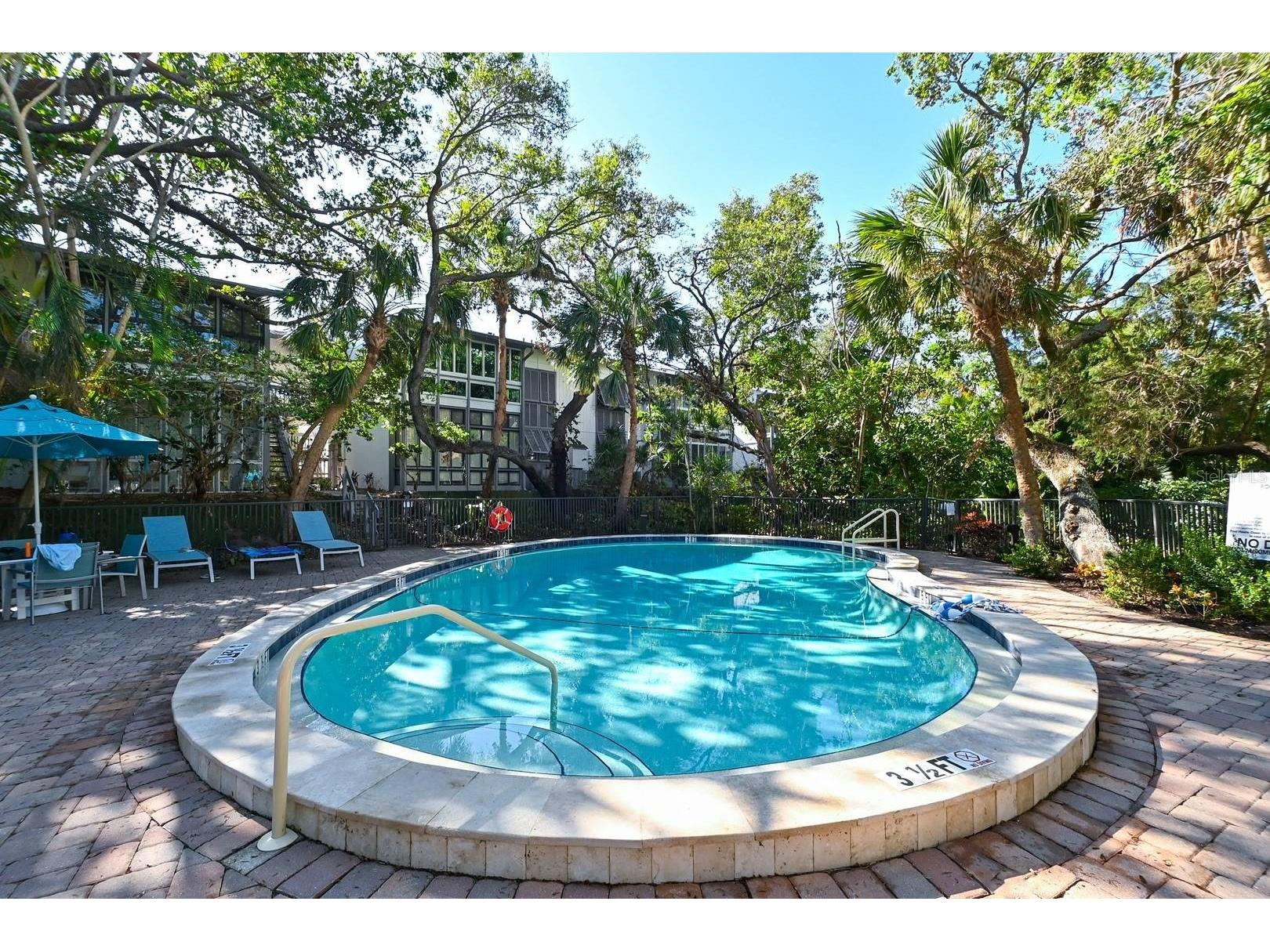 1255 E Peppertree Drive #306 Sarasota FL 34242 TB8470262 image11