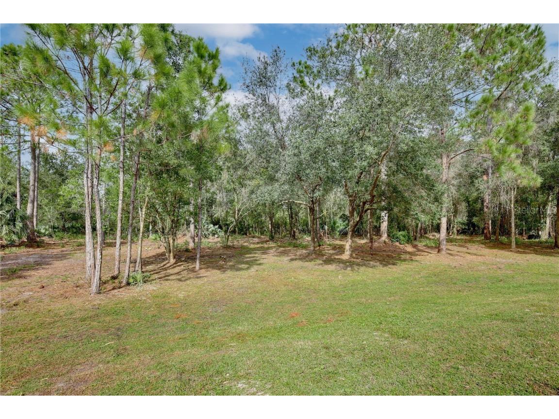 1255 Flint Trail Geneva FL 32732 O6359408 image24