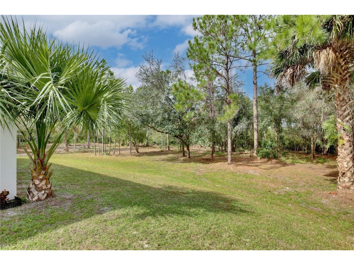 1255 Flint Trail Geneva FL 32732 O6359408 image25