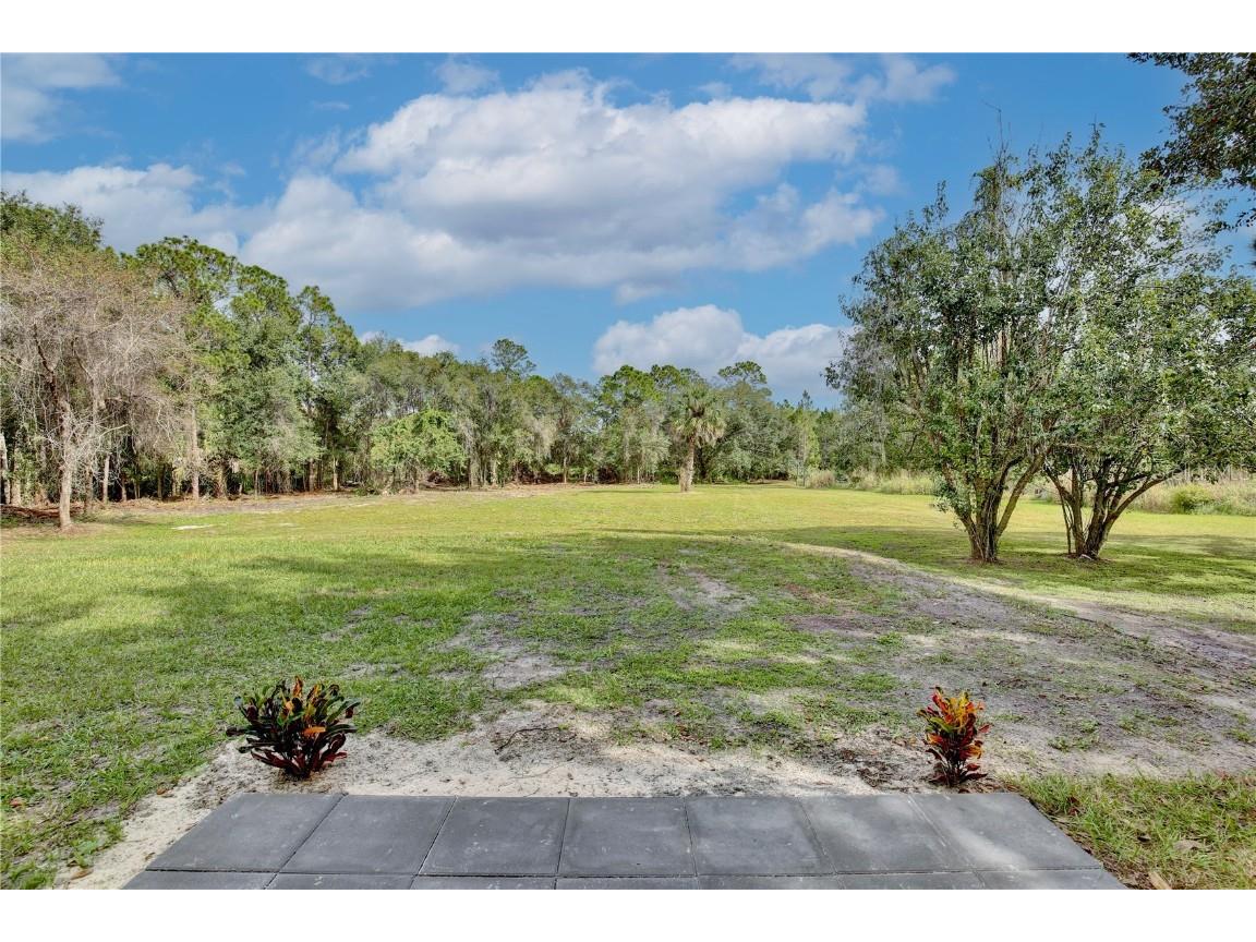 1255 Flint Trail Geneva FL 32732 O6359408 image28