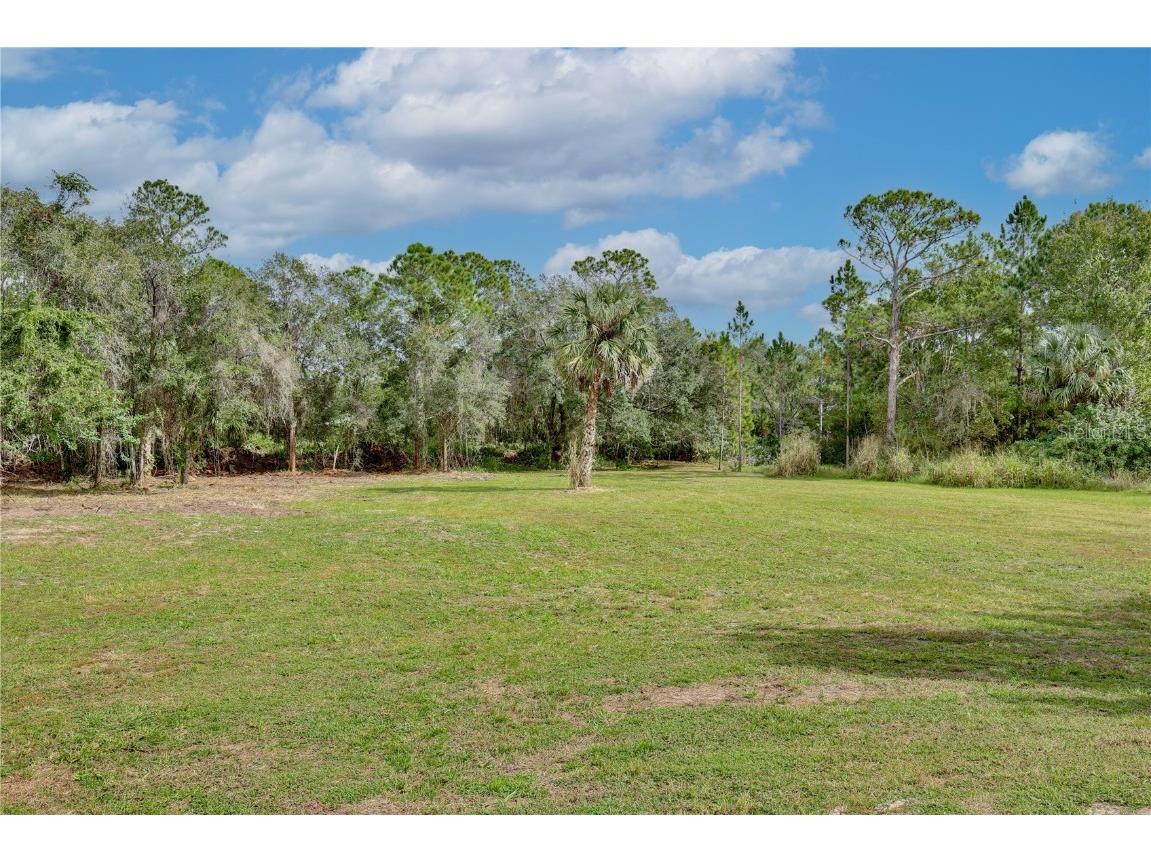 1255 Flint Trail Geneva FL 32732 O6359408 image29