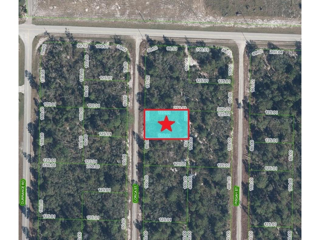 1255 Lorca Street Lake Placid FL 33852 C7520535 image1