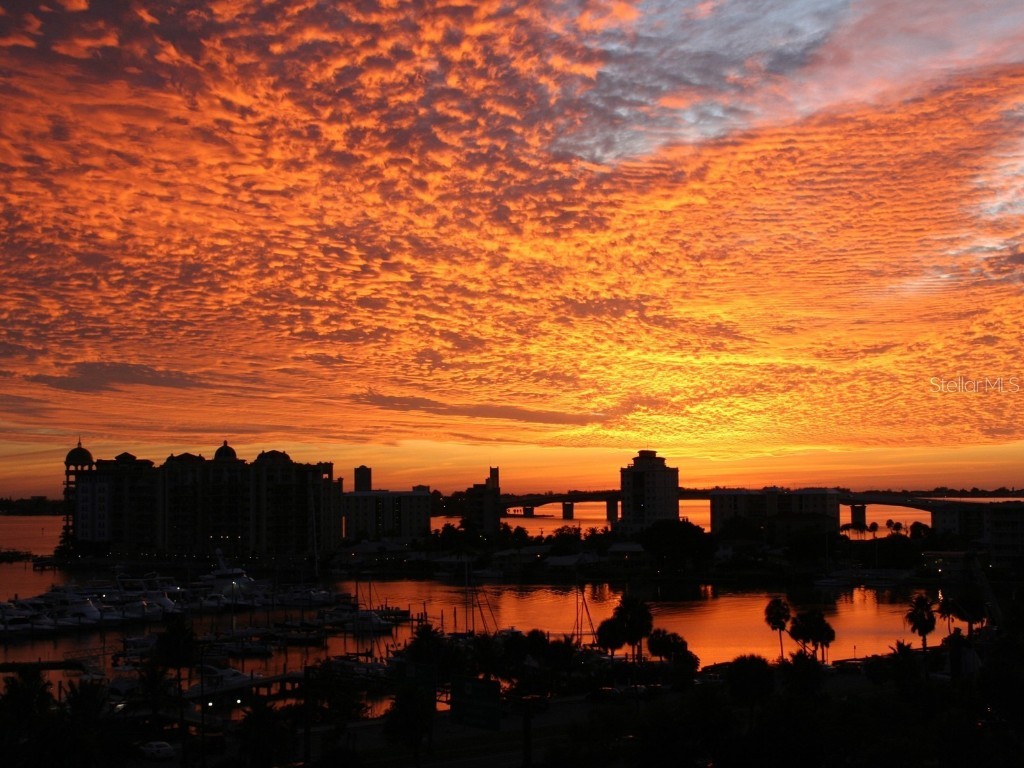 1255 N Gulfstream Avenue #402 Sarasota FL 34236 - SARASOTA BAY A4657037 image82