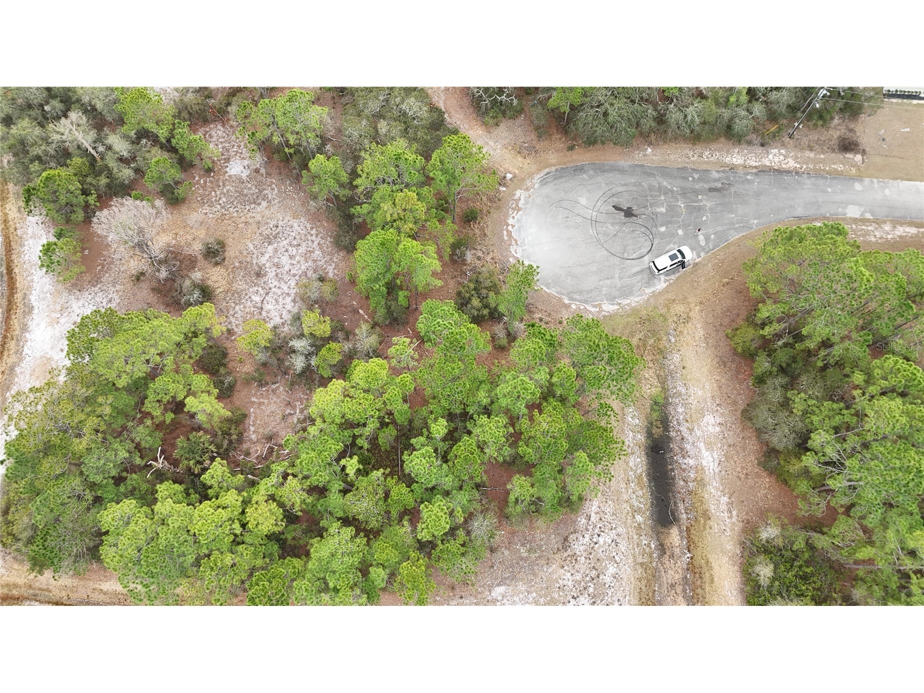 1255 Wahneta Drive Kissimmee FL 34759 O6391382 image3