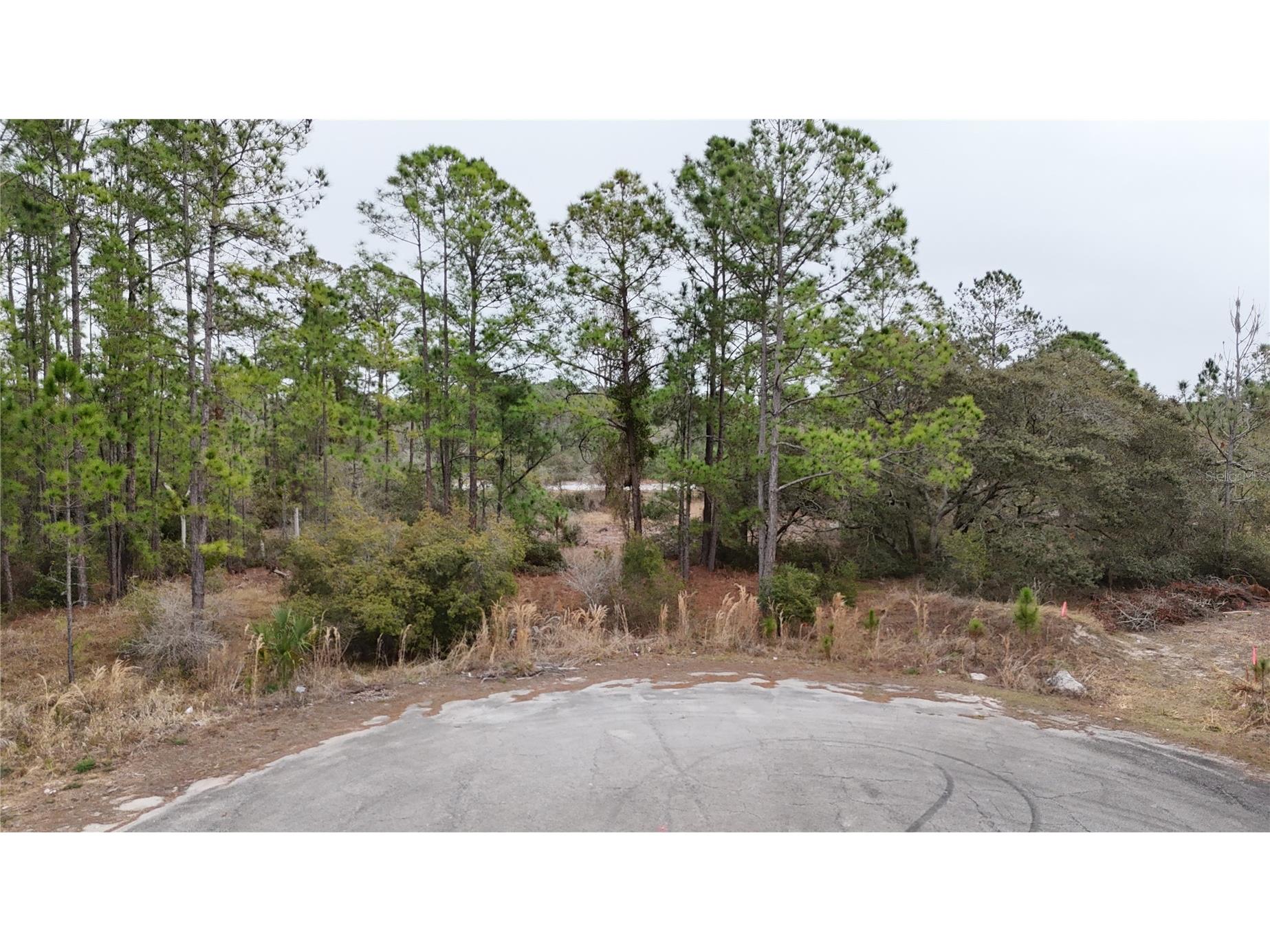 1255 Wahneta Drive Kissimmee FL 34759 O6391382 image5