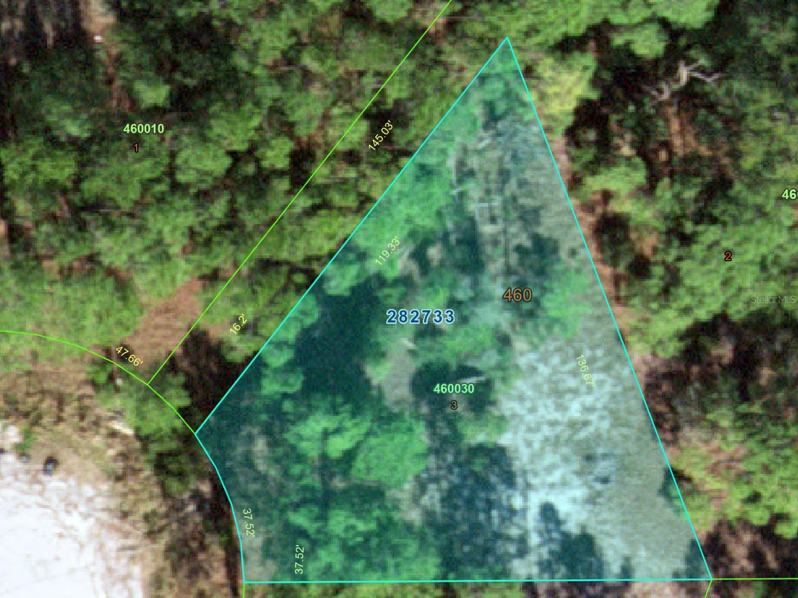 1255 Wahneta Drive Kissimmee FL 34759 O6391382 image7