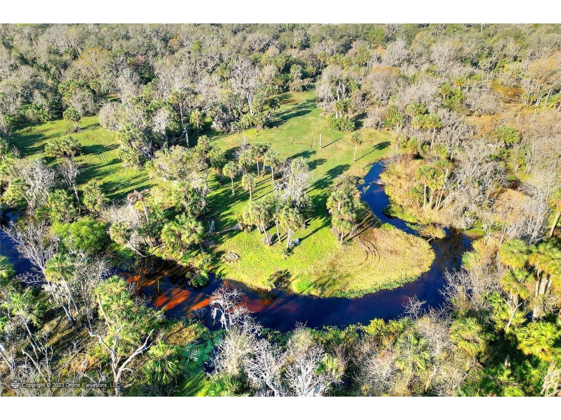 12550 Amber Lane Lithia FL 33547 - SOUTH PRONG OF ALAFIA RIVER T3442590 image1