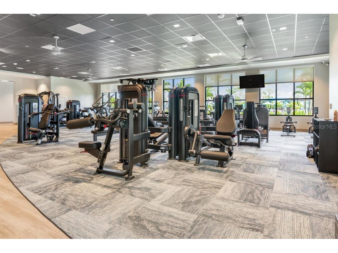 12550 Galapagos Court #104 Venice FL 34293 D6142749 image36