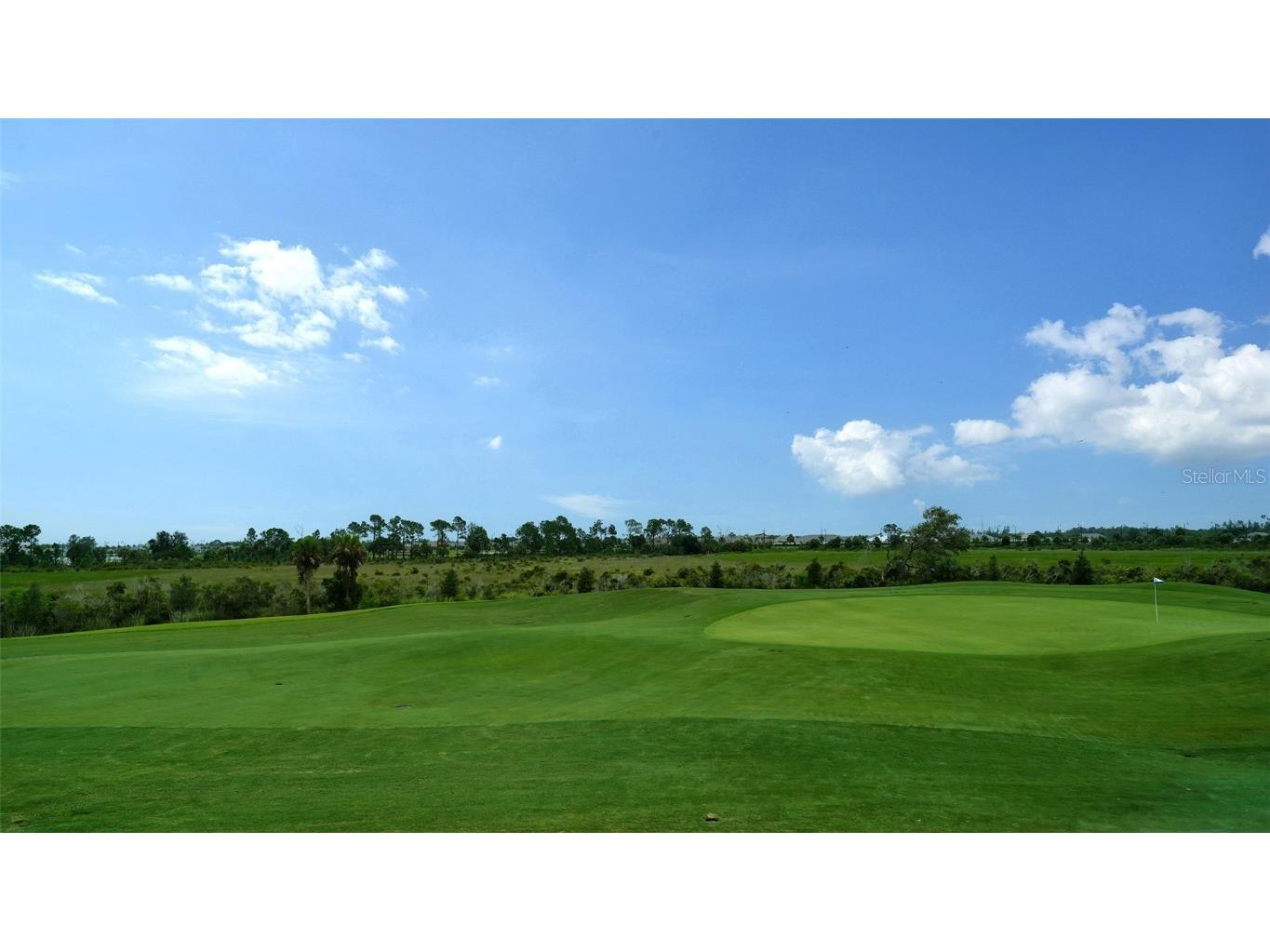 12550 Galapagos Court #205 Venice FL 34293 A4616319 image31