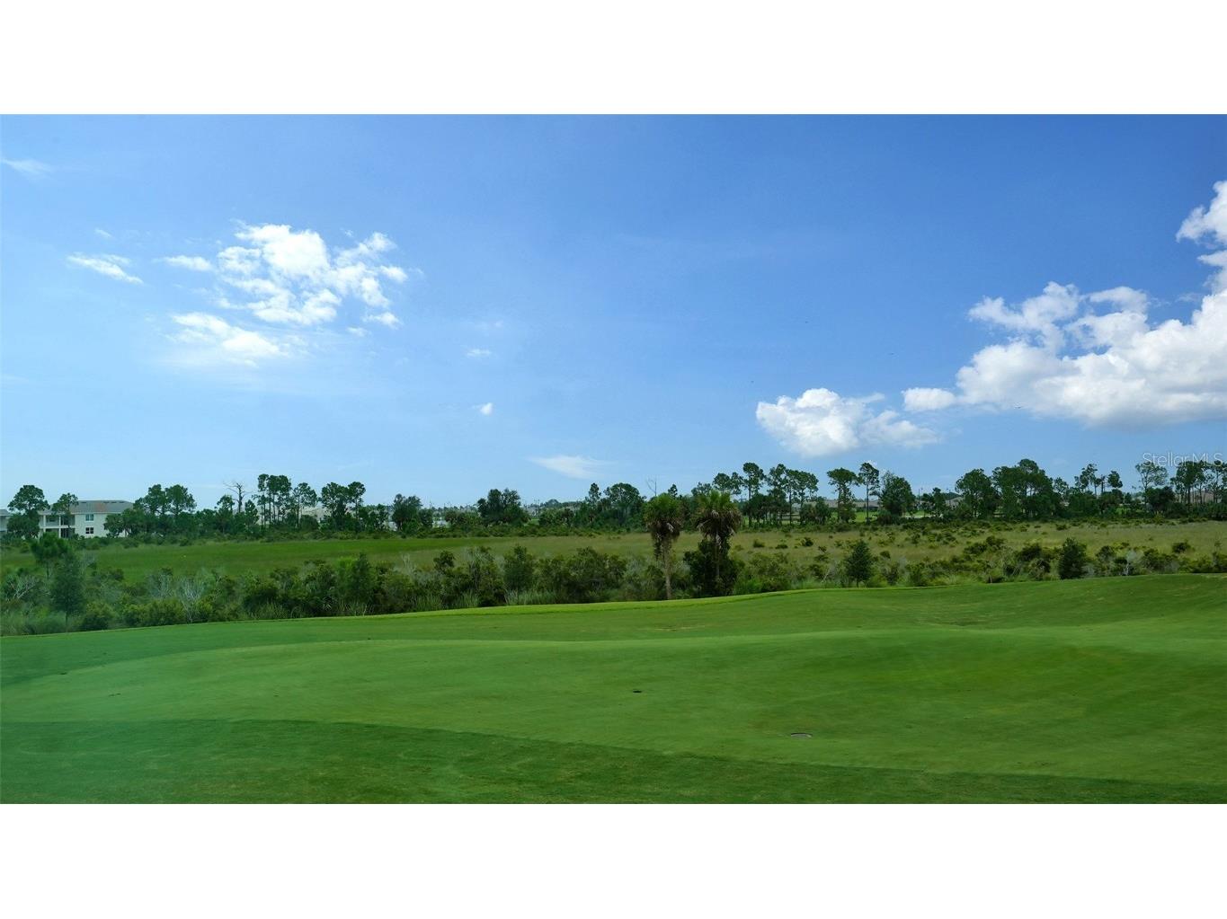 12550 Galapagos Court #205 Venice FL 34293 A4616319 image33