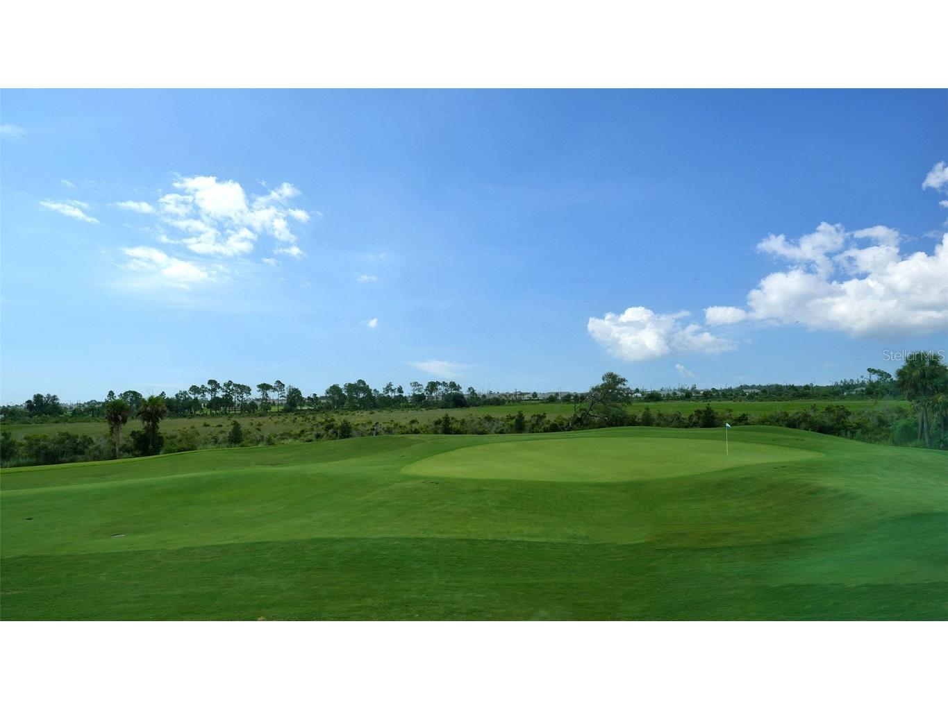 12550 Galapagos Court #206 Venice FL 34293 A4620061 image27