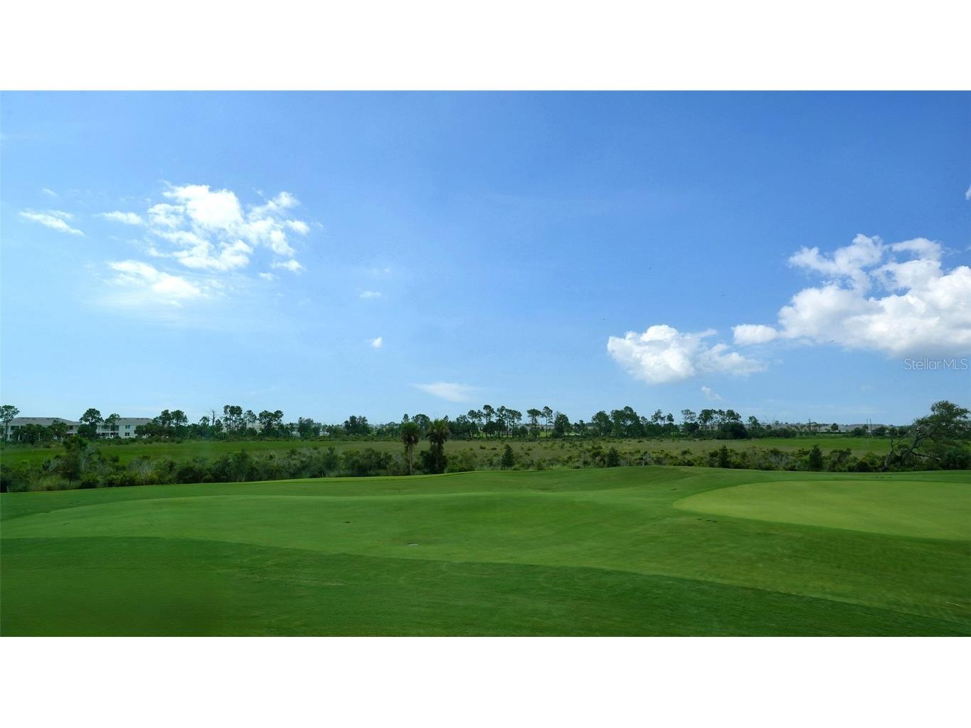 12550 Galapagos Court #206 Venice FL 34293 A4620061 image29