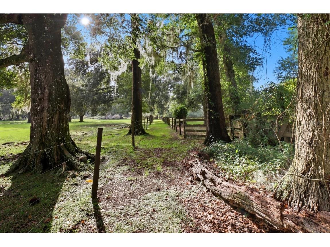 12550 SW 16th Avenue Ocala FL 34473 OM708453 image48