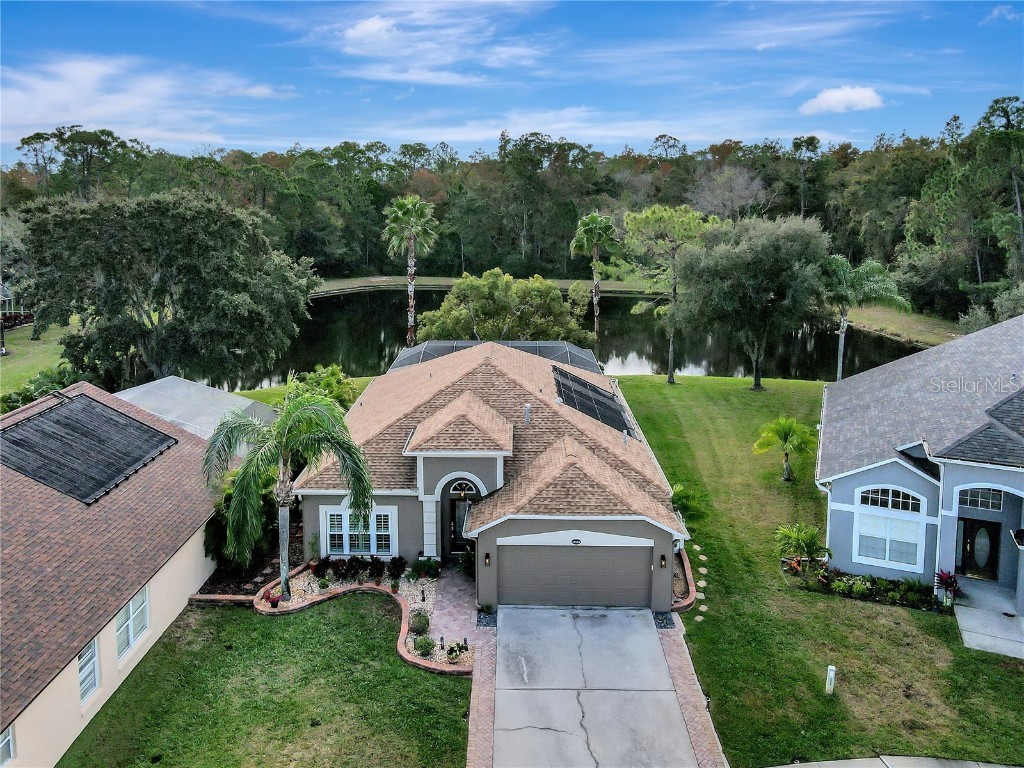 12552 Blazing Star Drive Tampa FL 33626 T3490452 image1