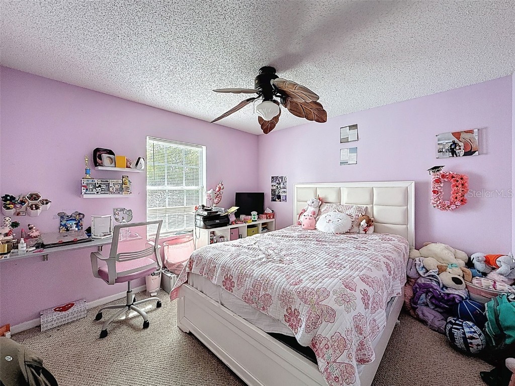 12552 Corrine Avenue Spring Hill FL 34609 W7879586 image58