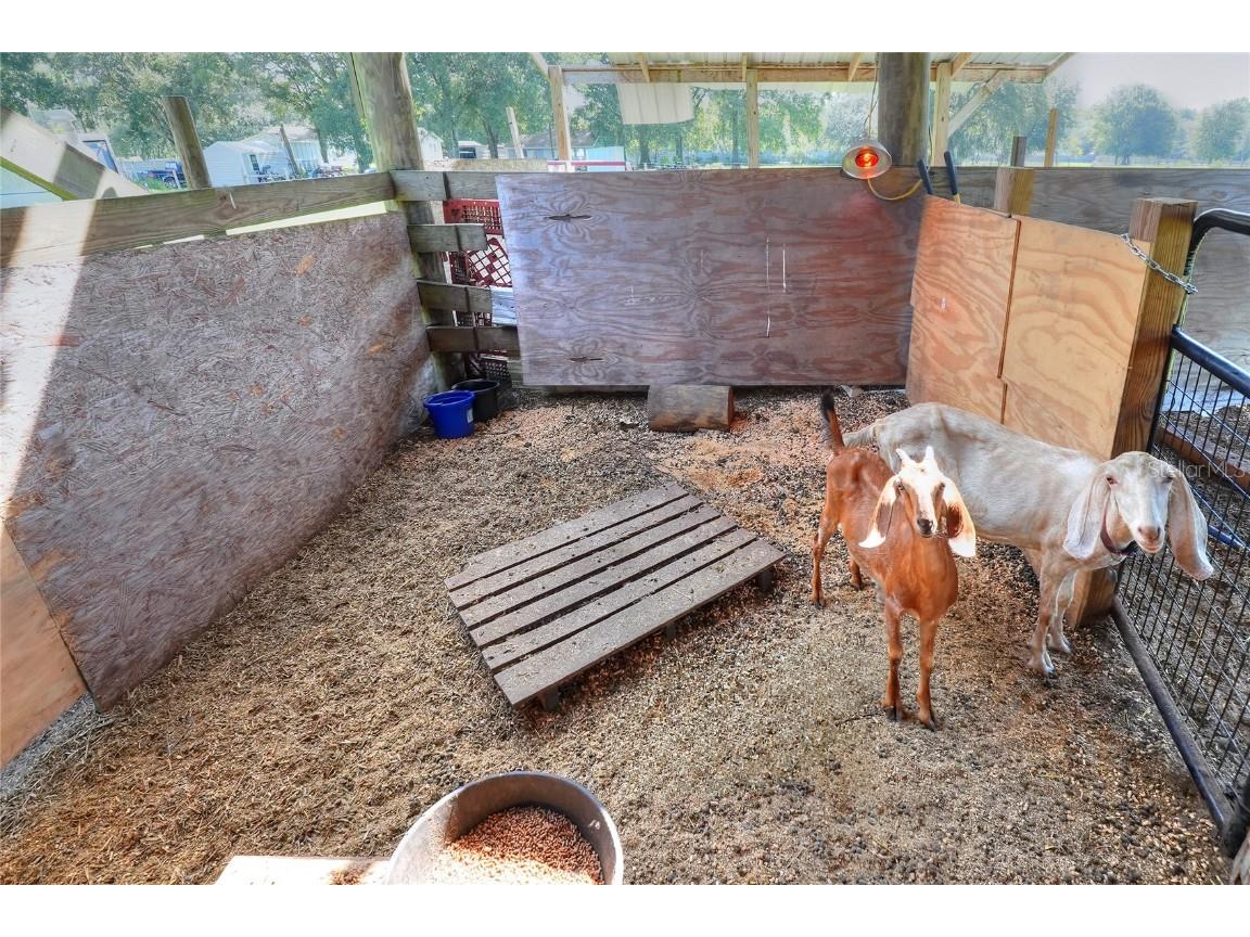 12552 Farmettes Road Lakeland FL 33809 O6340389 image27