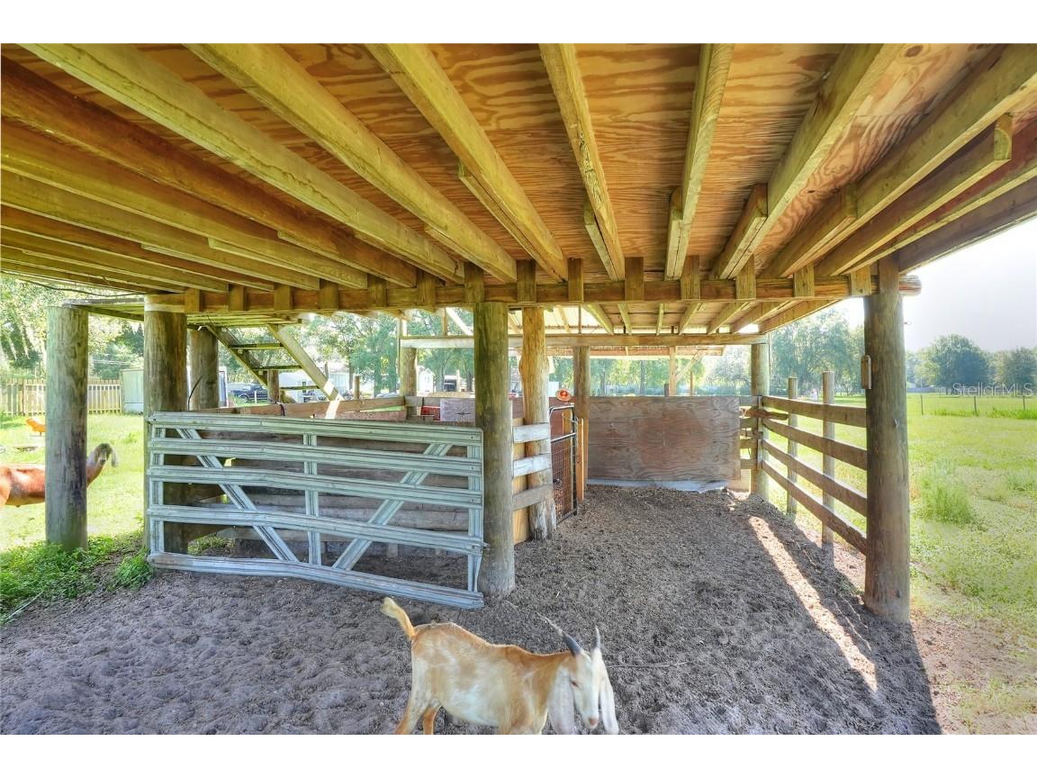 12552 Farmettes Road Lakeland FL 33809 O6340389 image29