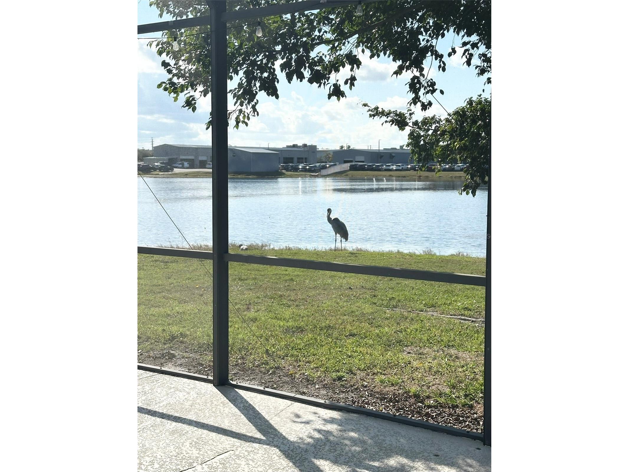 12553 Beacontree Way Orlando FL 32837 O6372271 image45