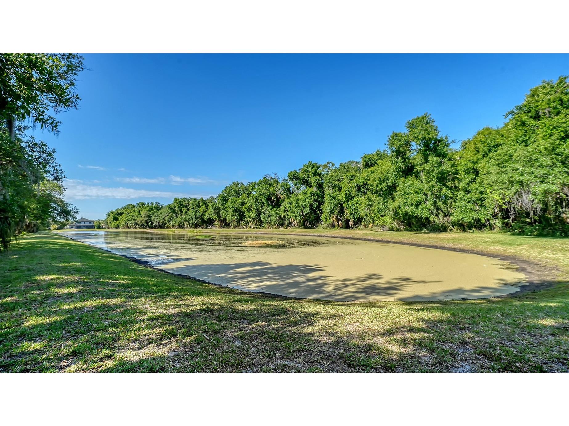 12554 Cara Cara Loop Bradenton FL 34212 A4690925 image4