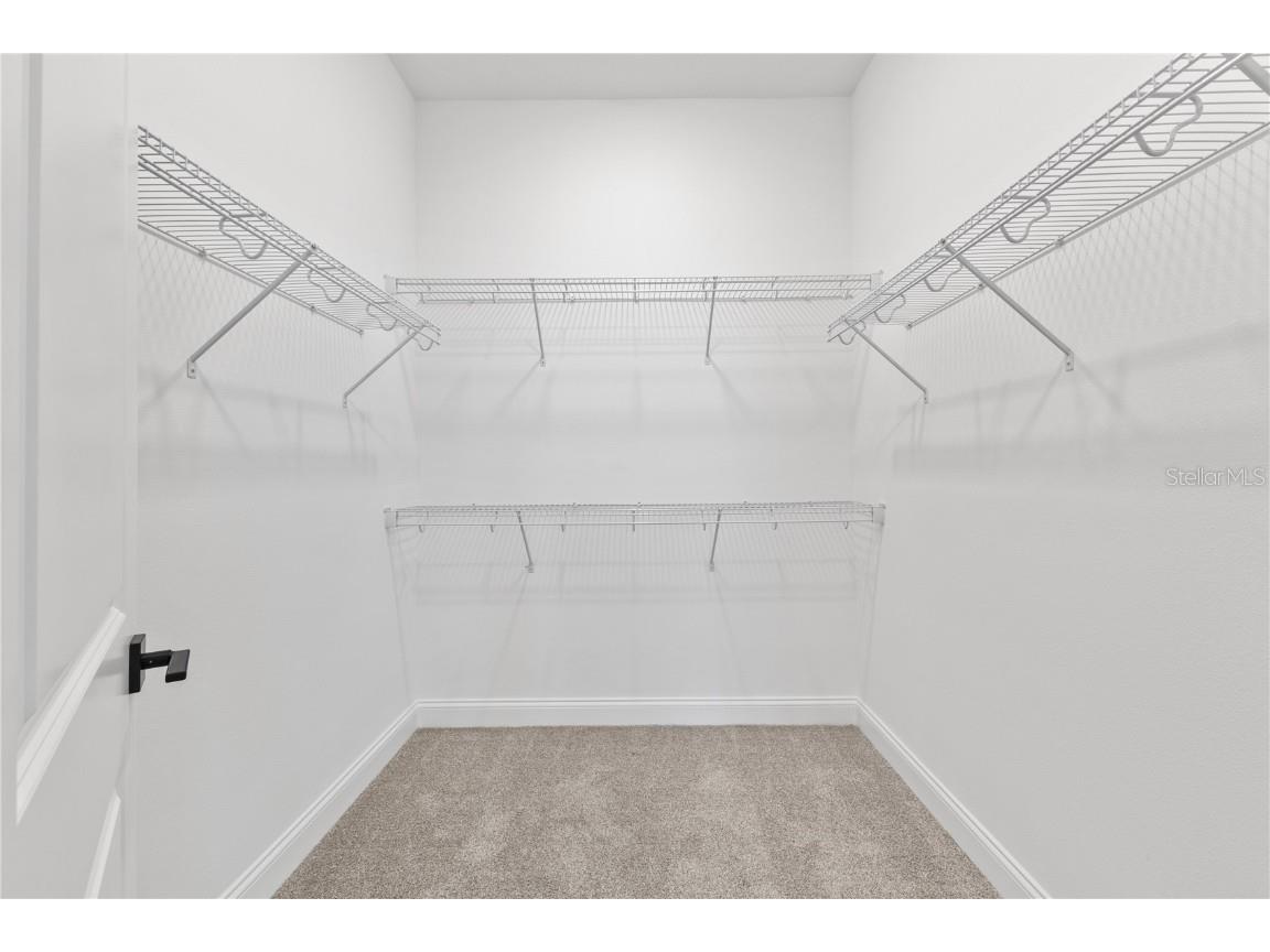 12554 Westhaven Oak Drive Winter Garden FL 34787 O6346537 image17