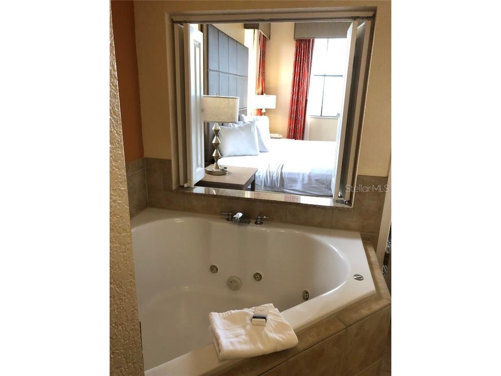 12556 Floridays Resort Drive #410A Orlando FL 32821 O6361881 image20