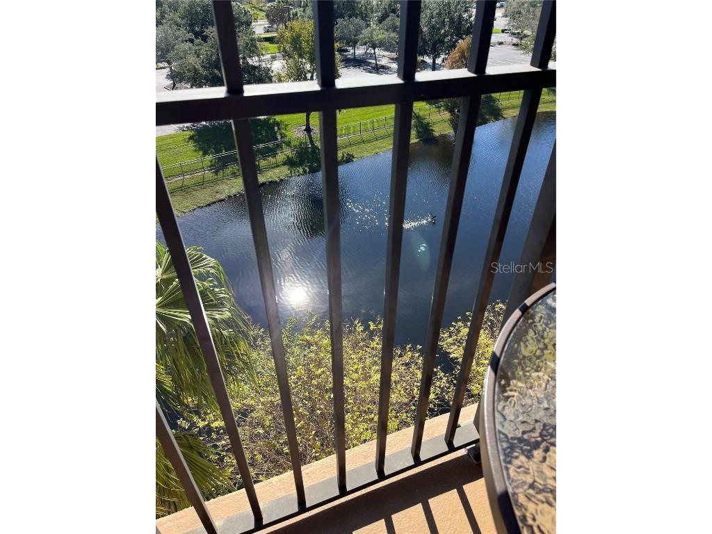 12556 Floridays Resort Drive #505 A Orlando FL 32821 O6156746 image1