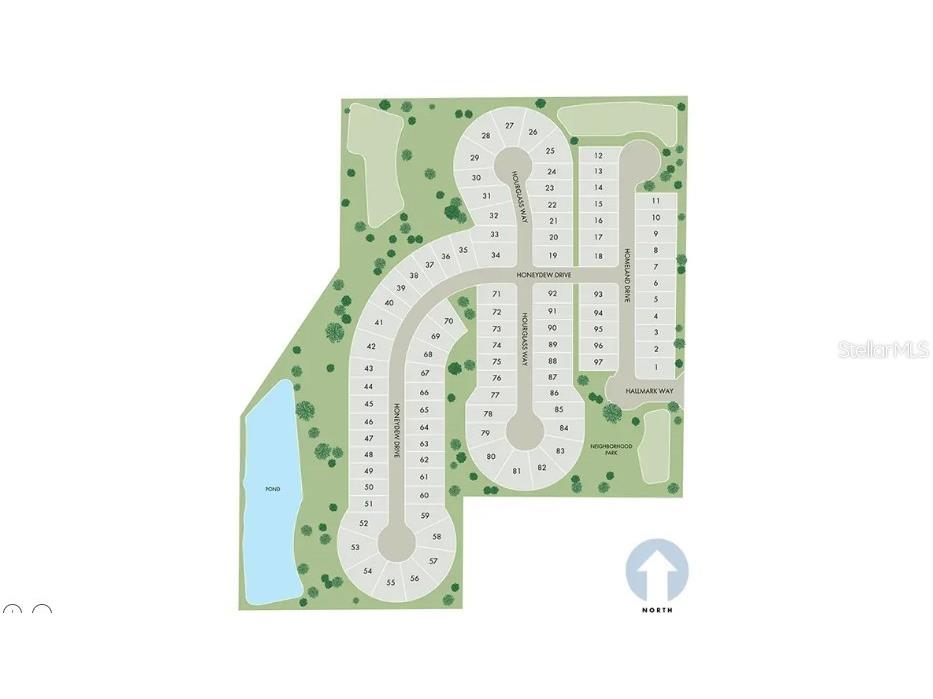 12556 Homeland Drive Dade City FL 33525 TB8491182 image9