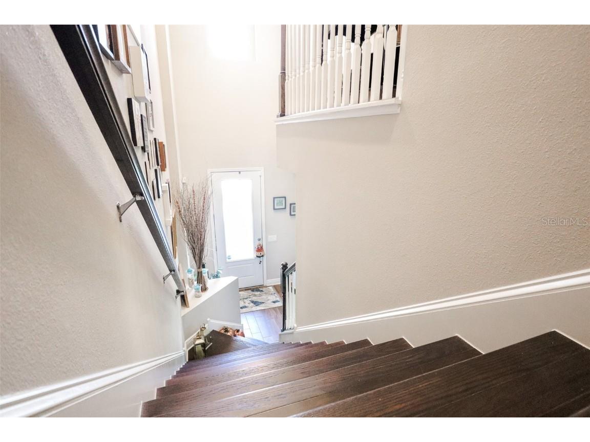 12556 Rangeland Boulevard Odessa FL 33556 TB8440424 image17