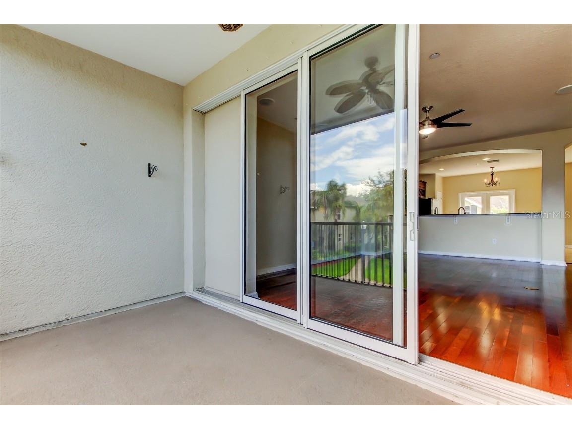 12557 Bassbrook Lane Tampa FL 33626 TB8450750 image16