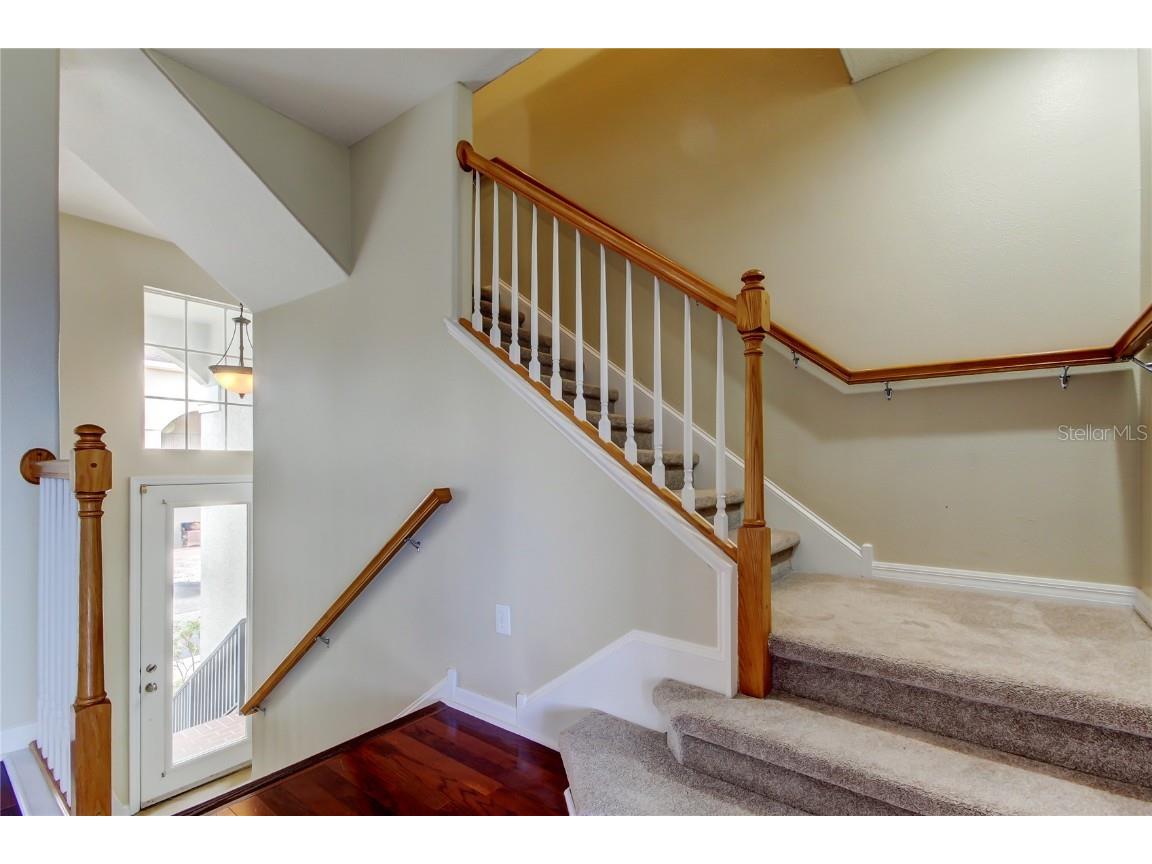 12557 Bassbrook Lane Tampa FL 33626 TB8450750 image21