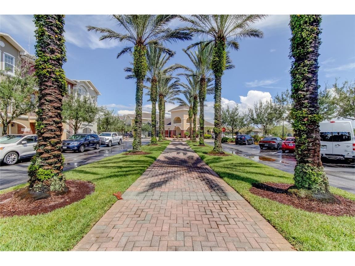 12557 Bassbrook Lane Tampa FL 33626 TB8450750 image40