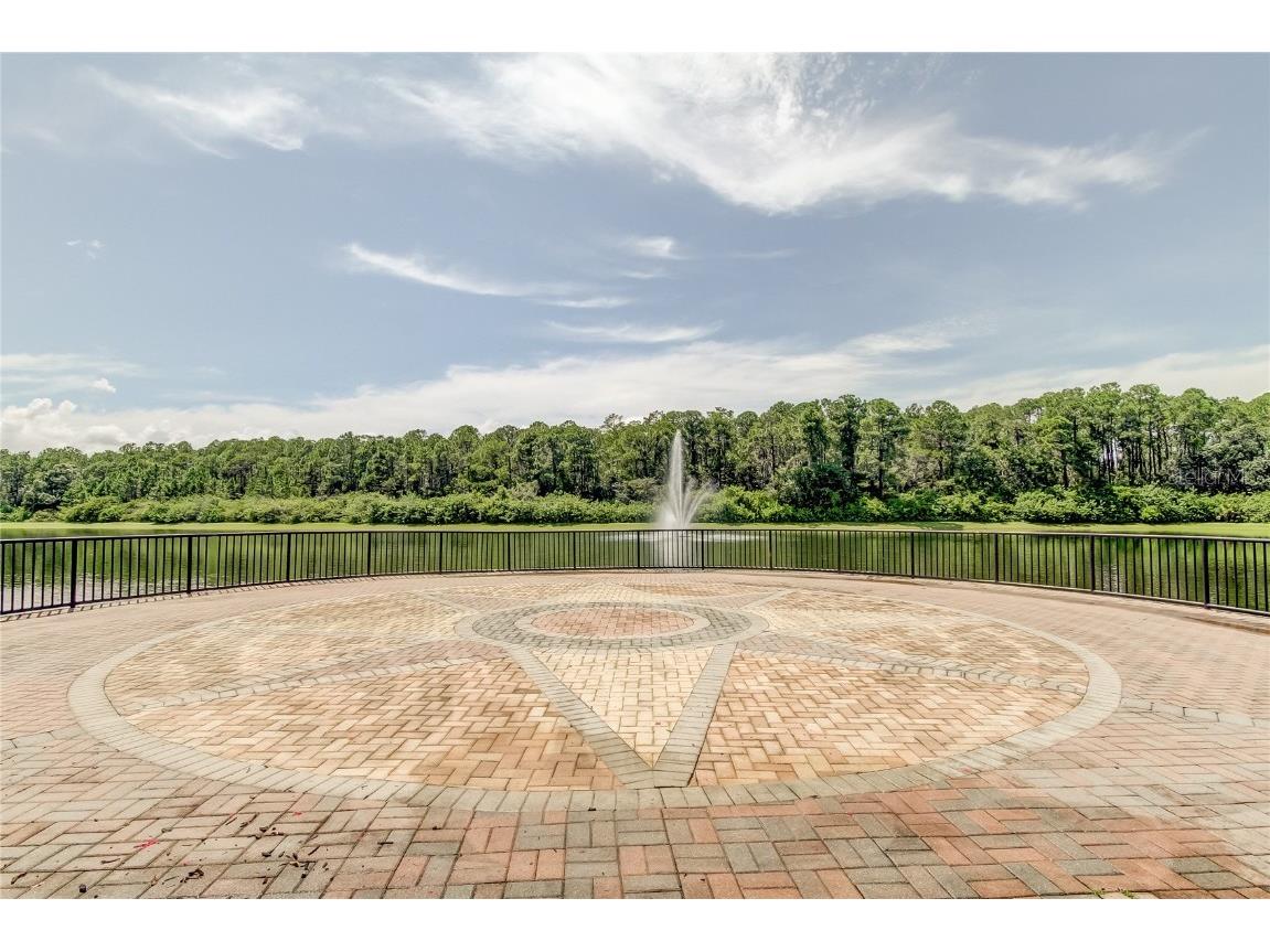 12557 Bassbrook Lane Tampa FL 33626 TB8450750 image41