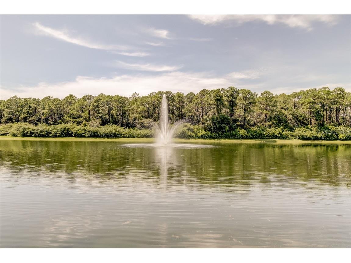 12557 Bassbrook Lane Tampa FL 33626 TB8450750 image42