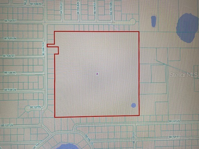 12557 SE 104th Terrace Belleview FL 34420 OM696754 image2