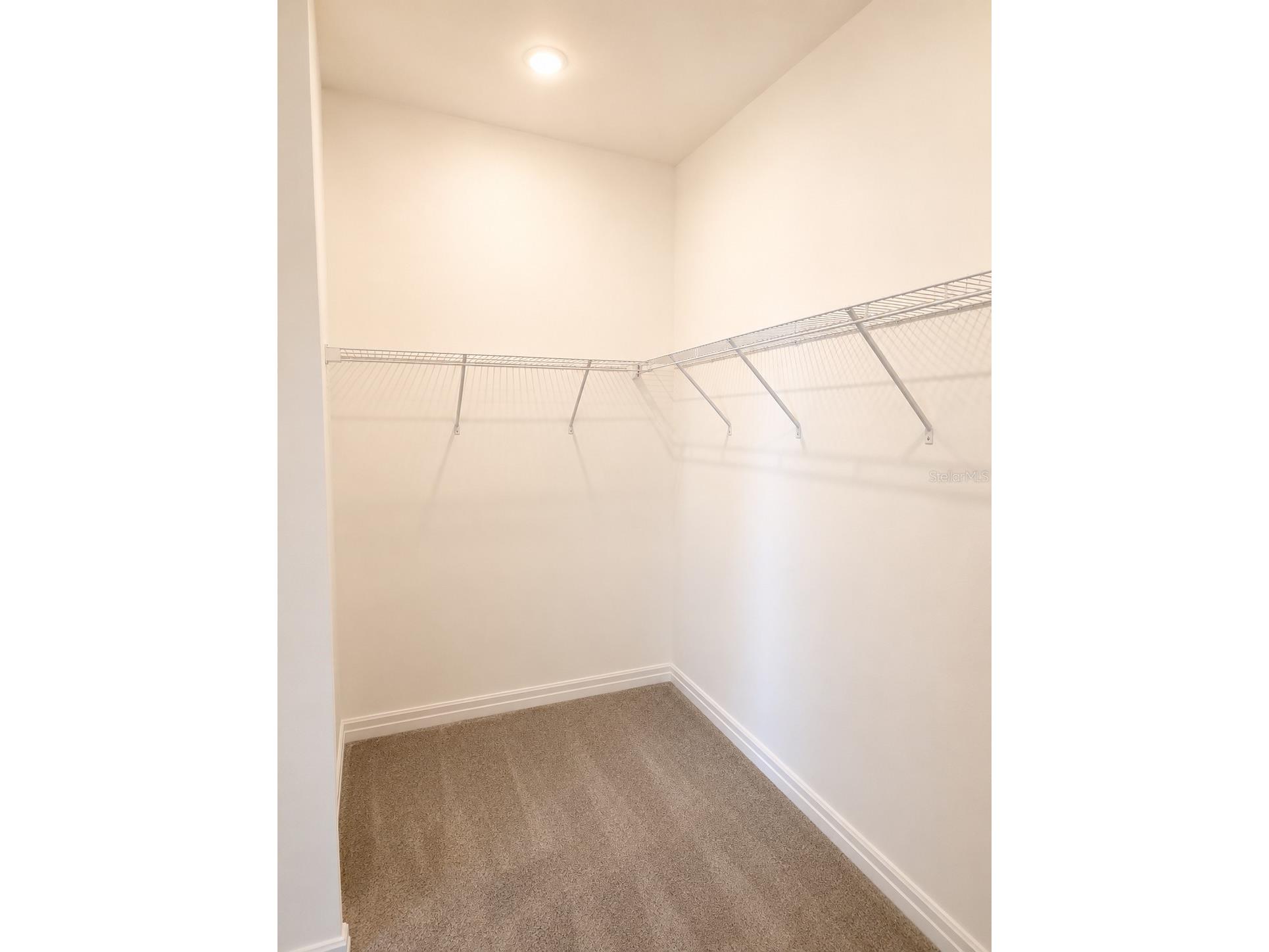 12558 Colonnade Vista Drive Riverview FL 33579 TB8517170 image12