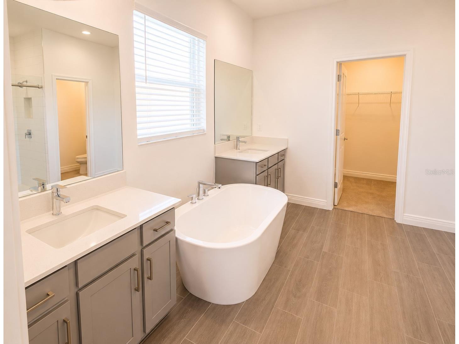 12558 Colonnade Vista Drive Riverview FL 33579 TB8517170 image9