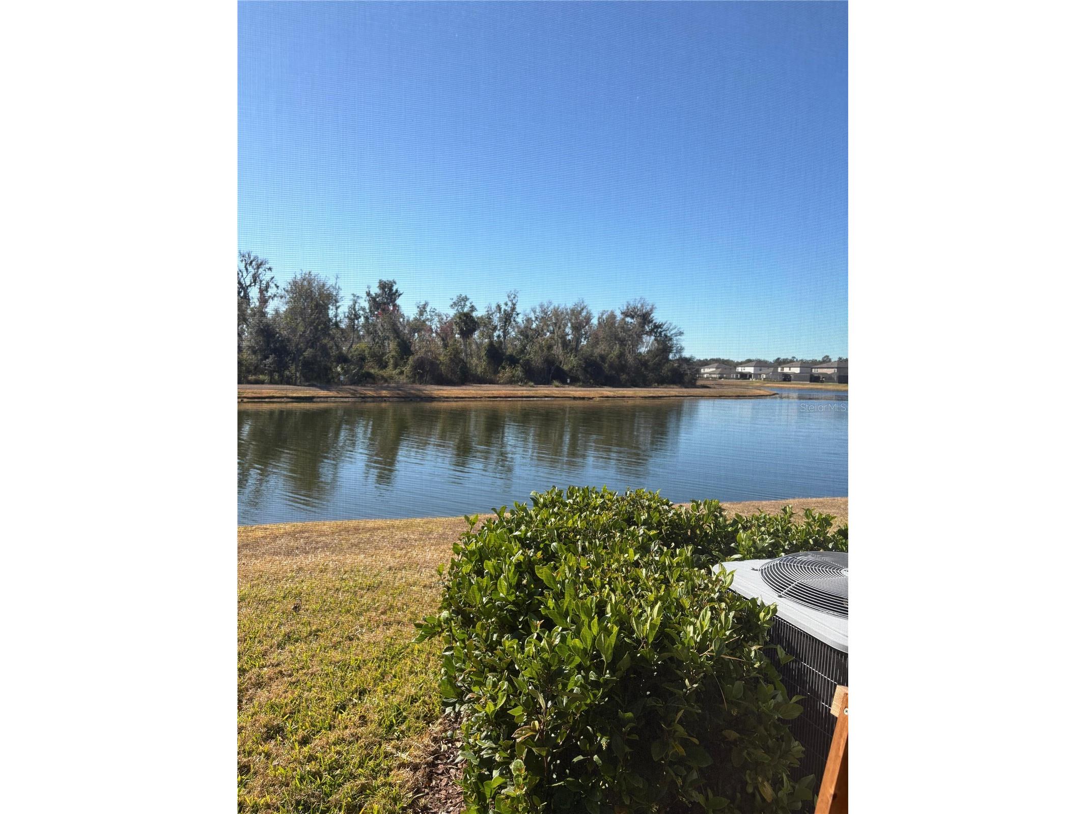 12558 Oak Hill Way Parrish FL 34219 A4682340 image28