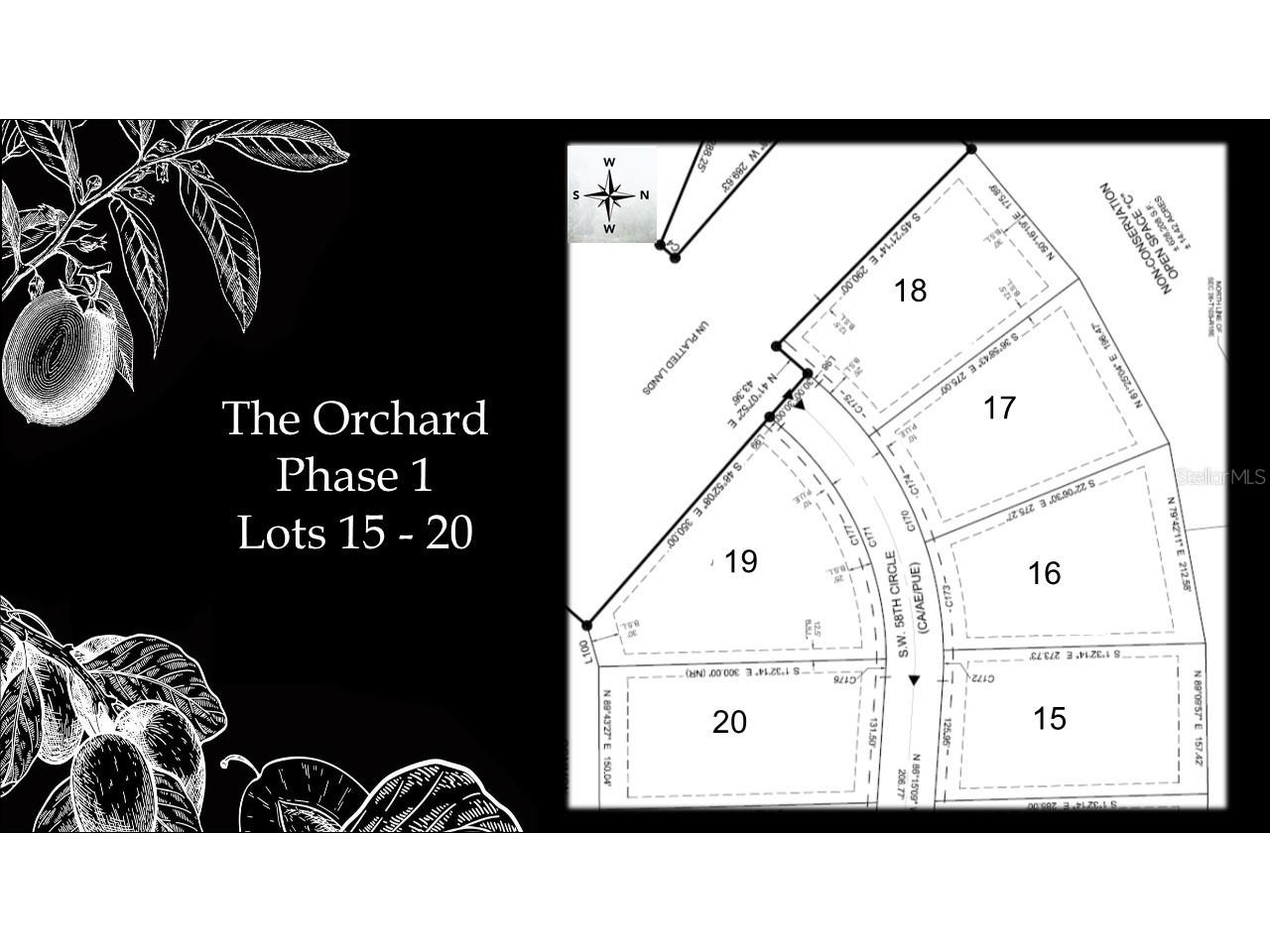 12558 SW 58th Circle Archer FL 32618 GC442450 image5