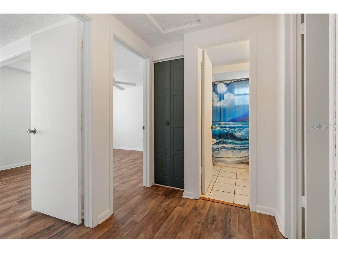 1256 Foggy Ridge Parkway Lutz FL 33559 A4664849 image13